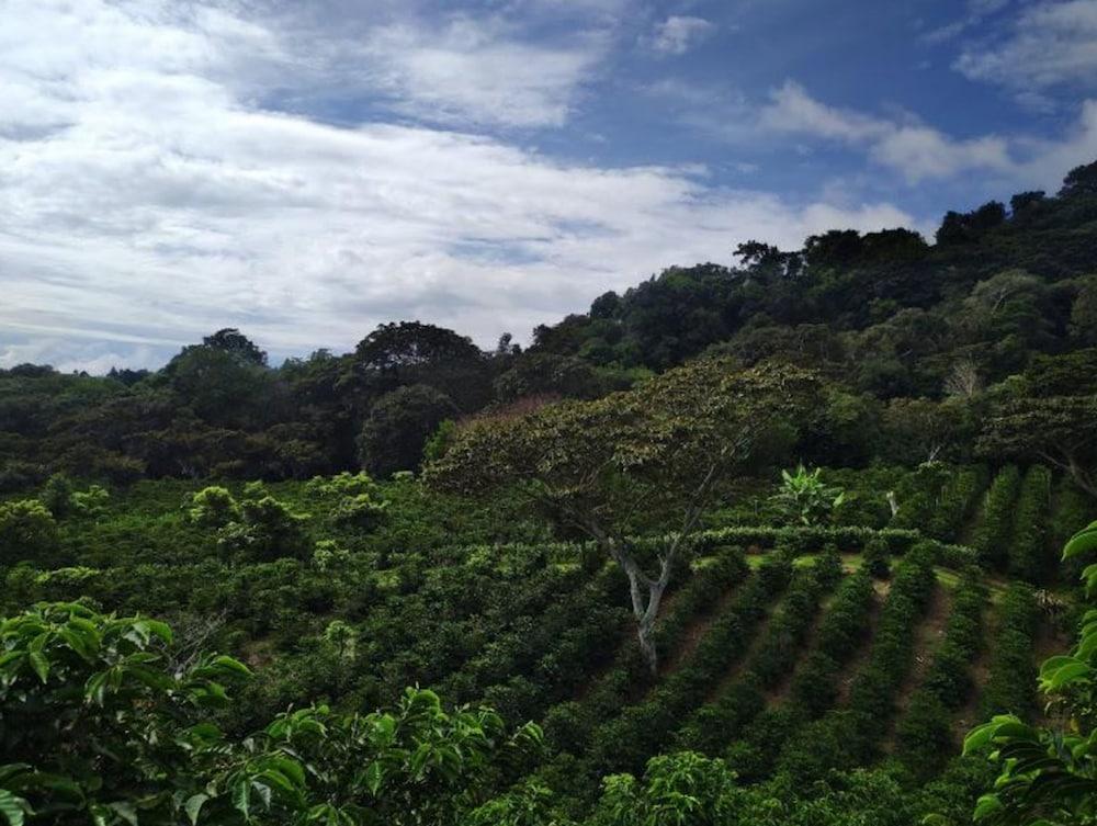 Hotel Finca Lerida Coffee Plantation And Boutique Hotel Boquete Buitenkant foto
