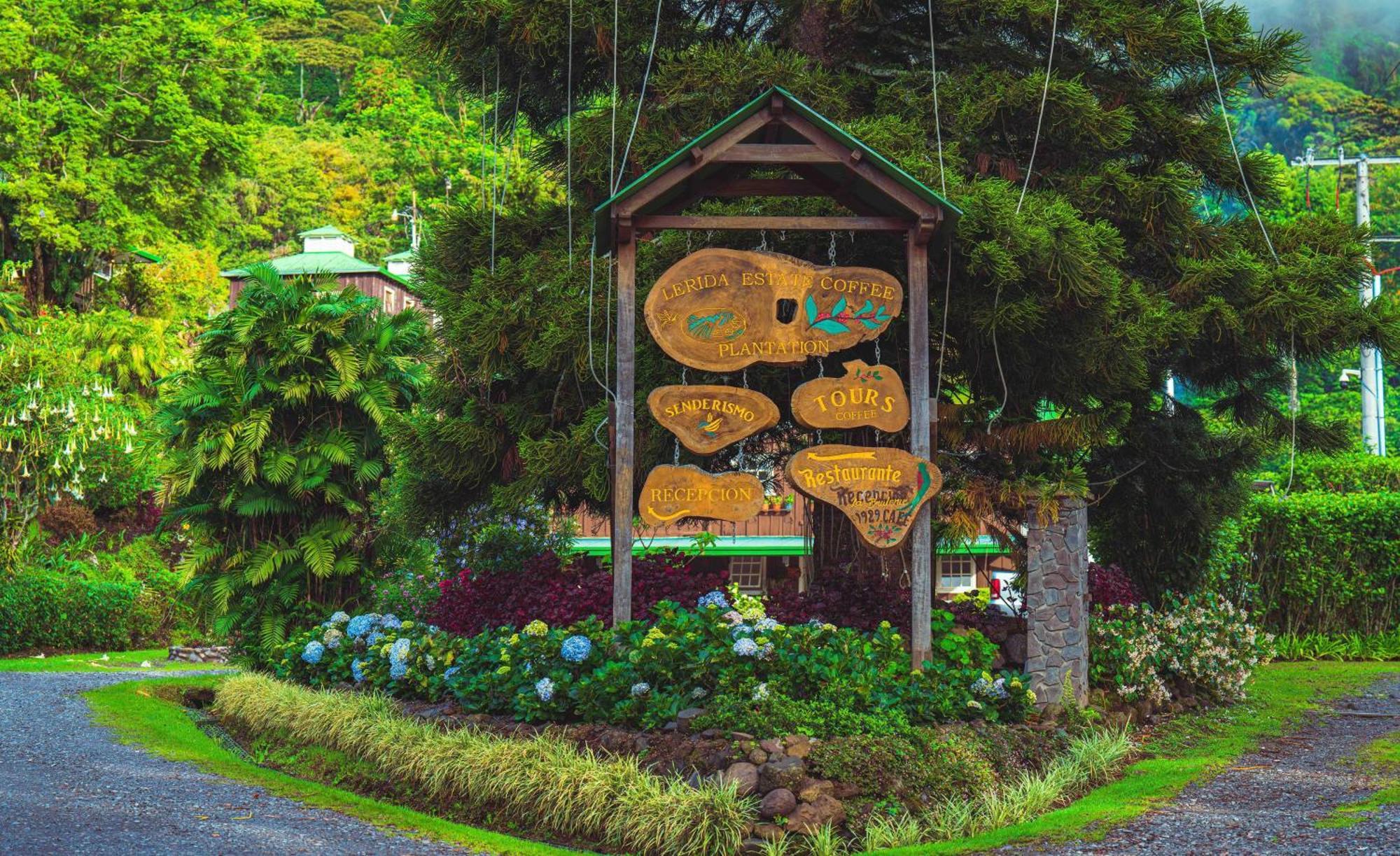 Hotel Finca Lerida Coffee Plantation And Boutique Hotel Boquete Buitenkant foto